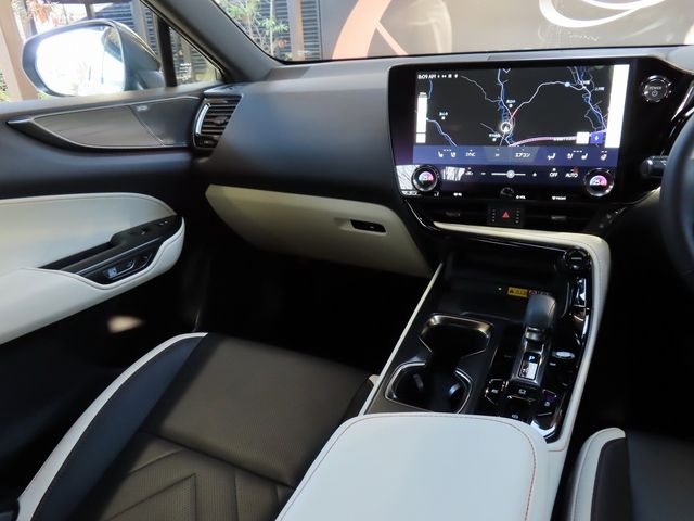 Lexus NX 2023-10 196408-23
