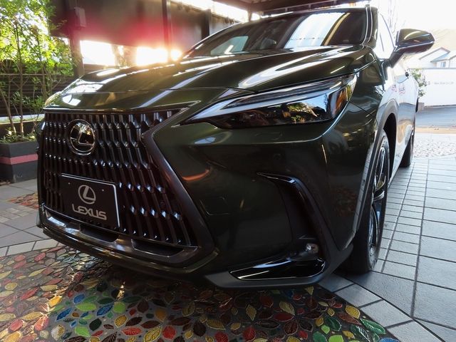 Lexus NX 2023-10 196408-0