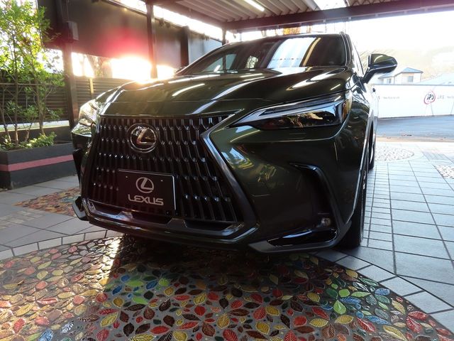 Lexus NX 2023-10 196408-13