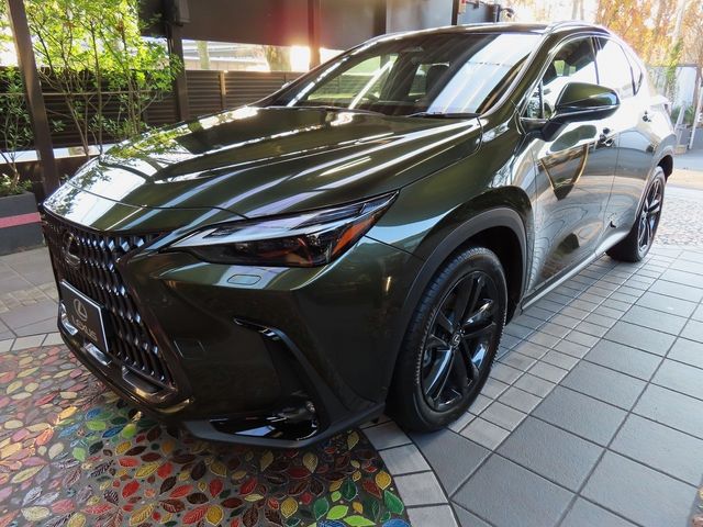Lexus NX 2023-10 196408-9