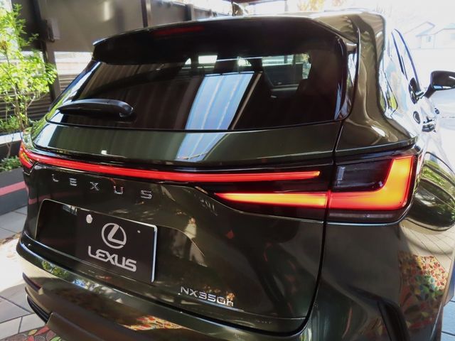 Lexus NX 2023-10 196408-6