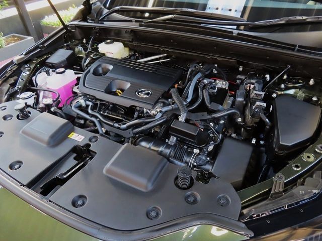 Lexus NX 2023-10 196408-29