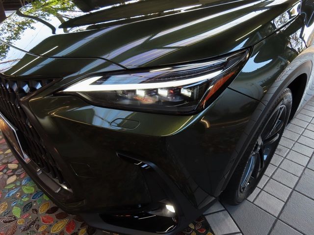 Lexus NX 2023-10 196408-4