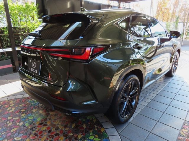 Lexus NX 2023-10 196408-12
