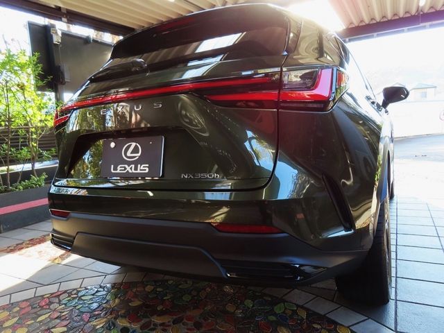 Lexus NX 2023-10 196408-1