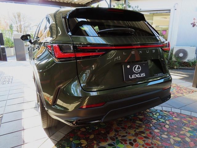 Lexus NX 2023-10 196408-8
