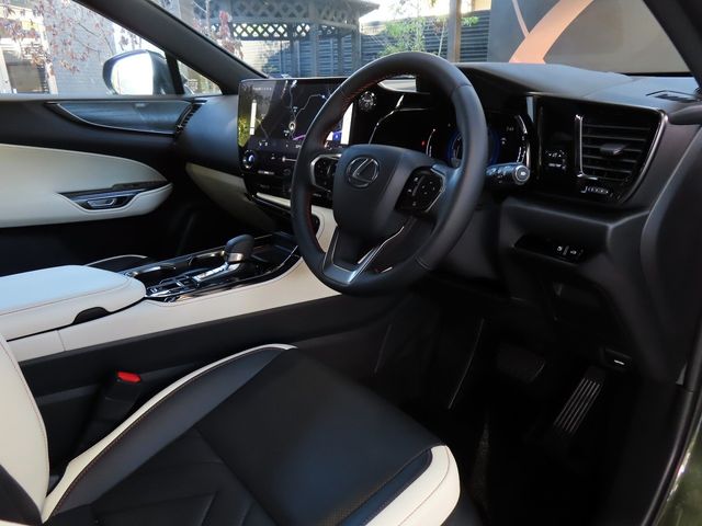 Lexus NX 2023-10 196408-19