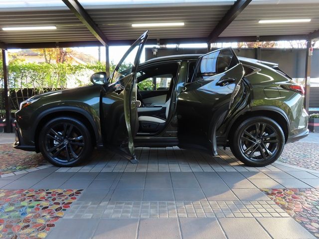 Lexus NX 2023-10 196408-14