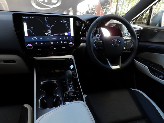 Lexus NX 2023-10 196408-22
