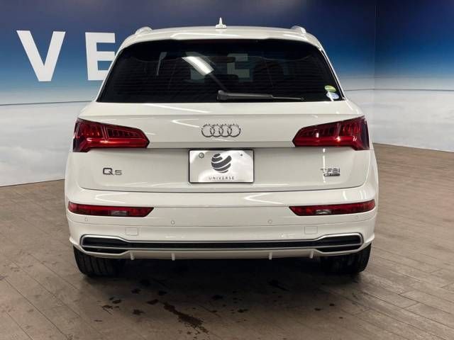 Audi Q5 2017-11 182746-15