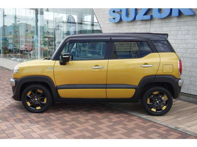 Suzuki X BEE 2018-06 13449-1