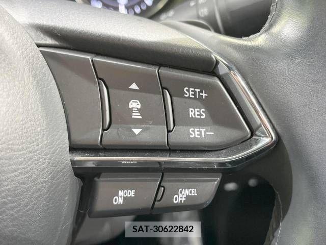 Mazda CX-8 2019-03 210854-5