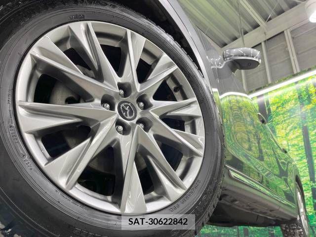 Mazda CX-8 2019-03 210854-14