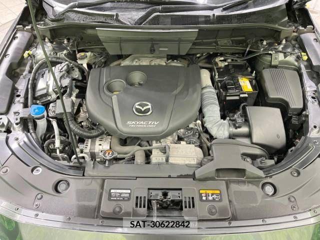 Mazda CX-8 2019-03 210854-19