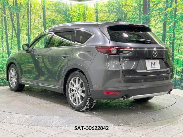 Mazda CX-8 2019-03 210854-18