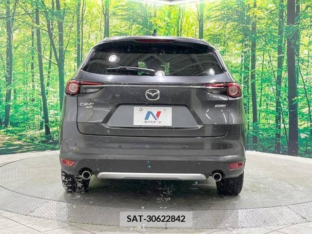 Mazda CX-8 2019-03 210854-16