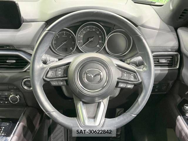 Mazda CX-8 2019-03 210854-13
