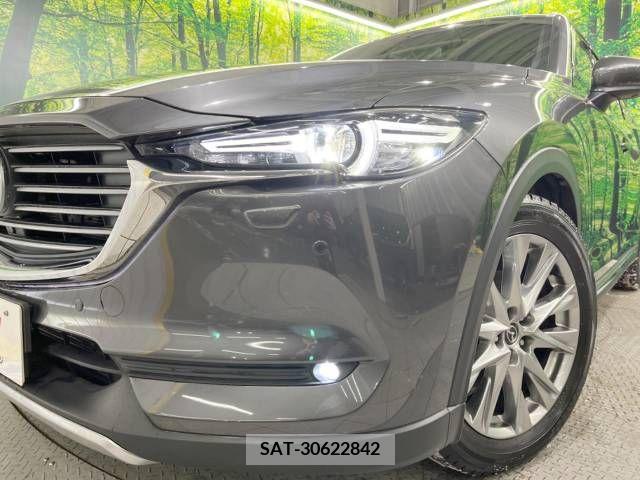 Mazda CX-8 2019-03 210854-12