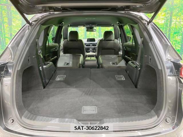 Mazda CX-8 2019-03 210854-11