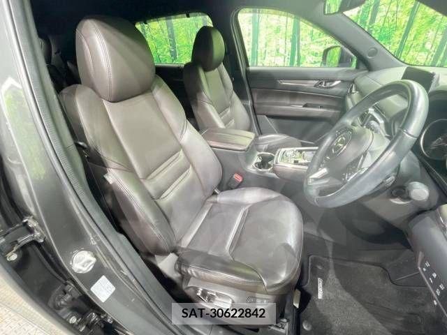 Mazda CX-8 2019-03 210854-8