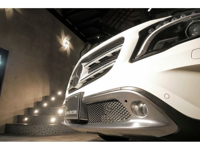 Mercedes Benz GLA-CLASS 2014-09 4221-6