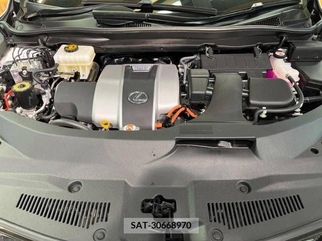 Lexus RX 2021-05 388263-18
