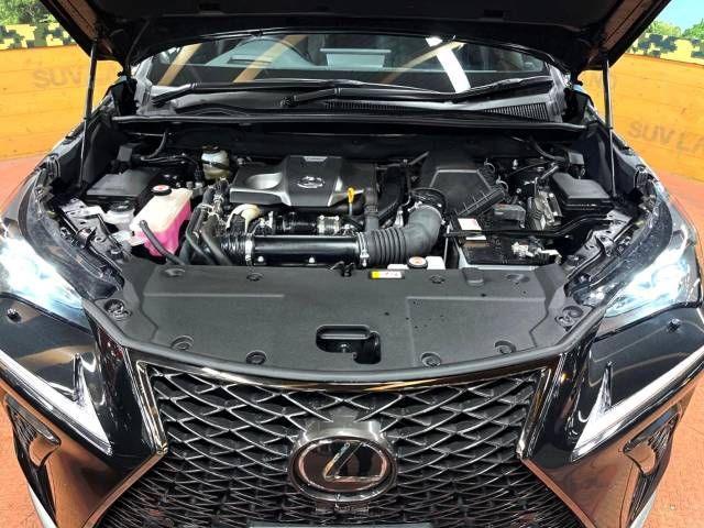 Lexus NX 2020-11 194584-18