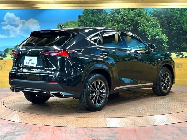 Lexus NX 2020-11 194584-17