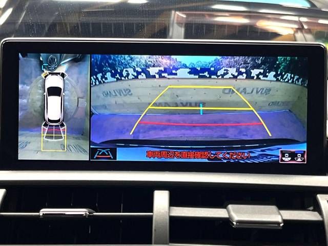 Lexus NX 2020-11 194584-4