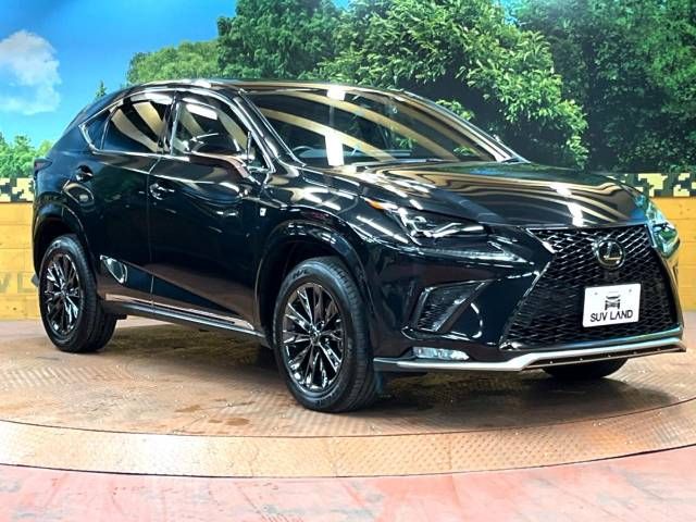 Lexus NX 2020-11 194584-16