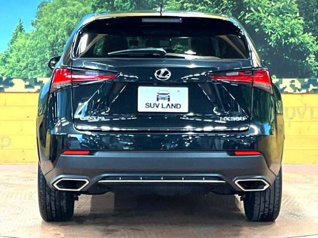 Lexus NX 2020-11 194584-15