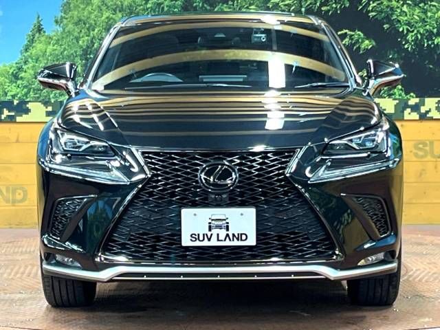 Lexus NX 2020-11 194584-14