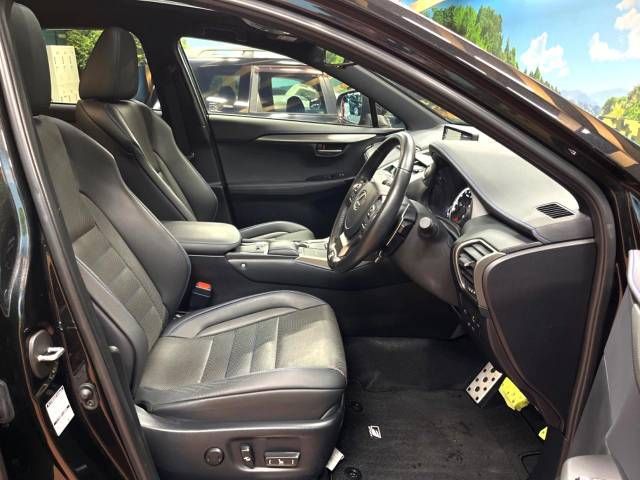 Lexus NX 2020-11 194584-8