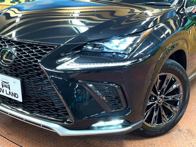 Lexus NX 2020-11 194584-12