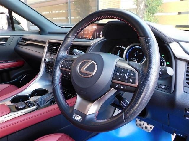 Lexus RX 2017-11 3237-25