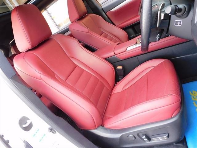 Lexus RX 2017-11 3237-18