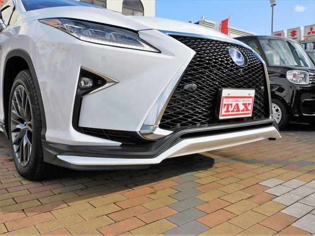 Lexus RX 2017-11 3237-10