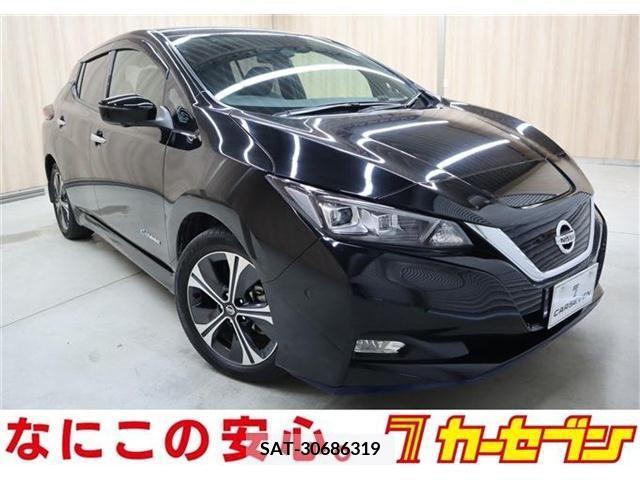 Nissan LEAF 2019-01 218811-0