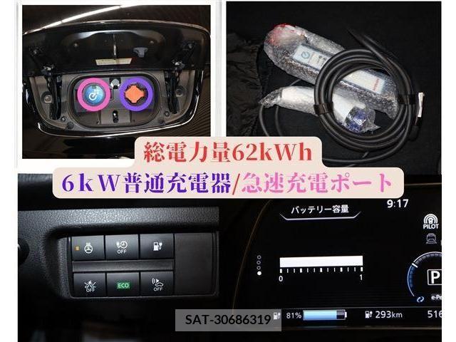 Nissan LEAF 2019-01 218811-13