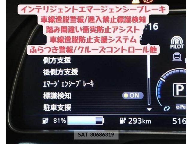 Nissan LEAF 2019-01 218811-15
