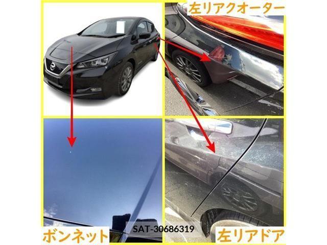 Nissan LEAF 2019-01 218811-10