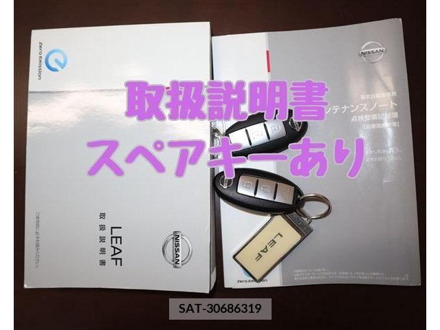 Nissan LEAF 2019-01 218811-11