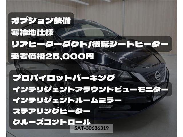 Nissan LEAF 2019-01 218811-1