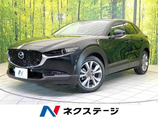 Mazda CX-30 2023-03 188801-0