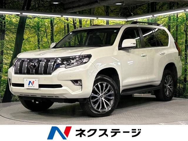 Toyota PRADO 2020-03 17615-0