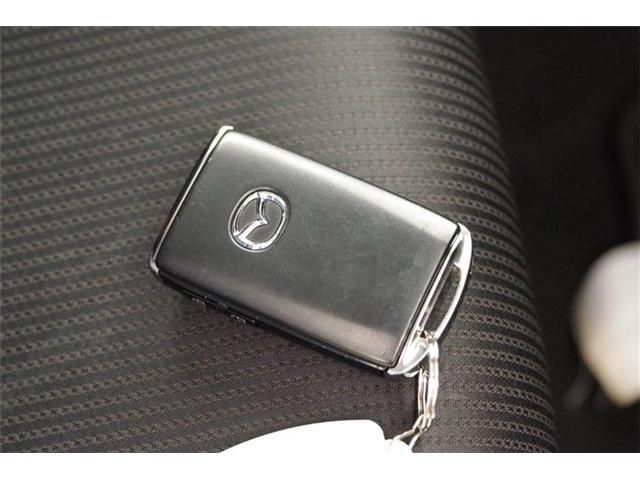 Mazda CX-3 2021-05 18269-17