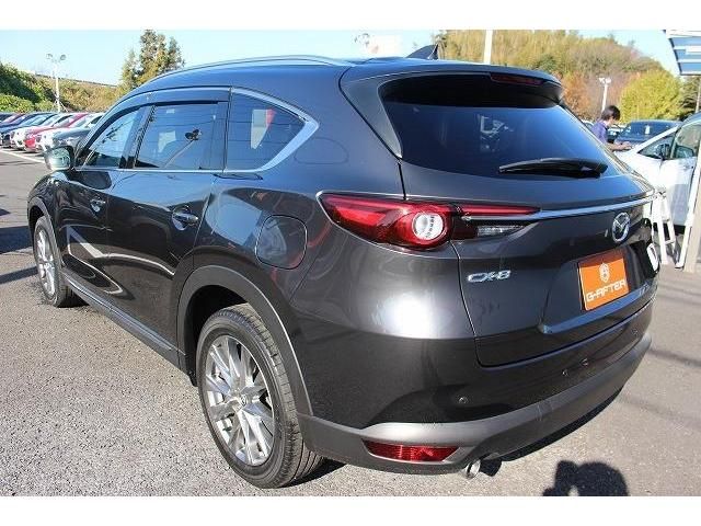 Mazda CX-8 2018-03 186099-8