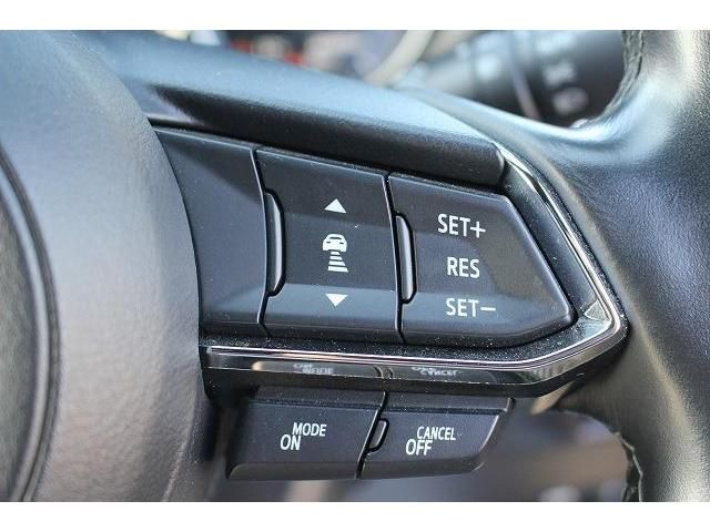 Mazda CX-8 2018-03 186099-6