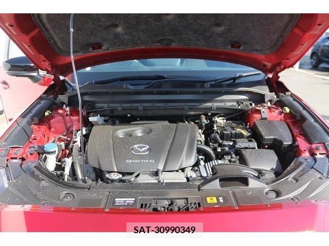 Mazda CX-8 2020-12 213335-17