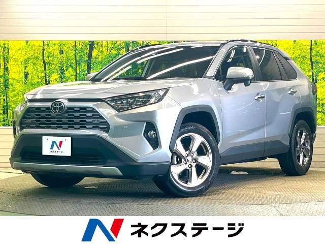 Toyota RAV4 2019-01 183816-0